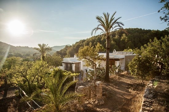 Site premium en pleine nature à Ibiza